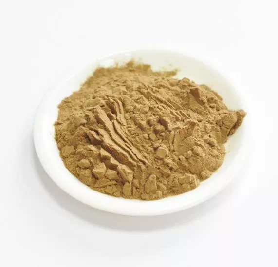 Сухой экстракт солянки холмовой (трава) (лат. Salssa collina Pall.)